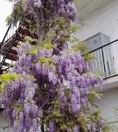 Vakantiehuis Vacation House Dionysia *