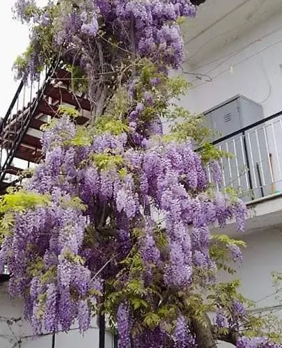 Semesterbostad Vacation House Dionysia *